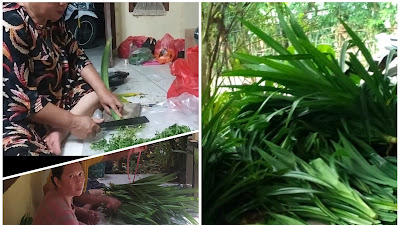 H-2 IdulFitri, Kelangkaan Distribusi Daun Pandan Wangi. Pedagang Kembang : Jangan Heran, Menjelang Lebaran !